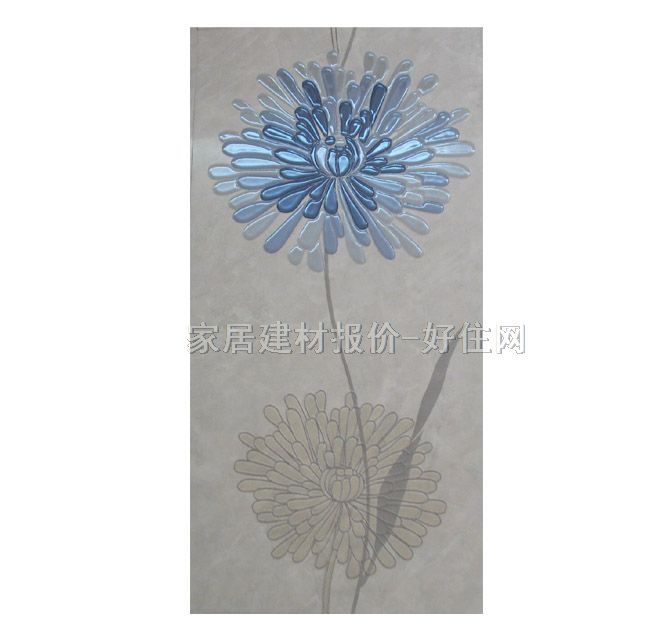 ���u��Ƭ 62455H7 300��600mm