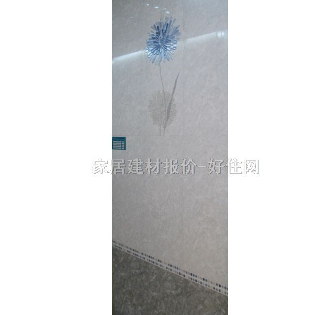 �_���؉���u ����u�ɫ�y��D��62456 300mm�� 600mm