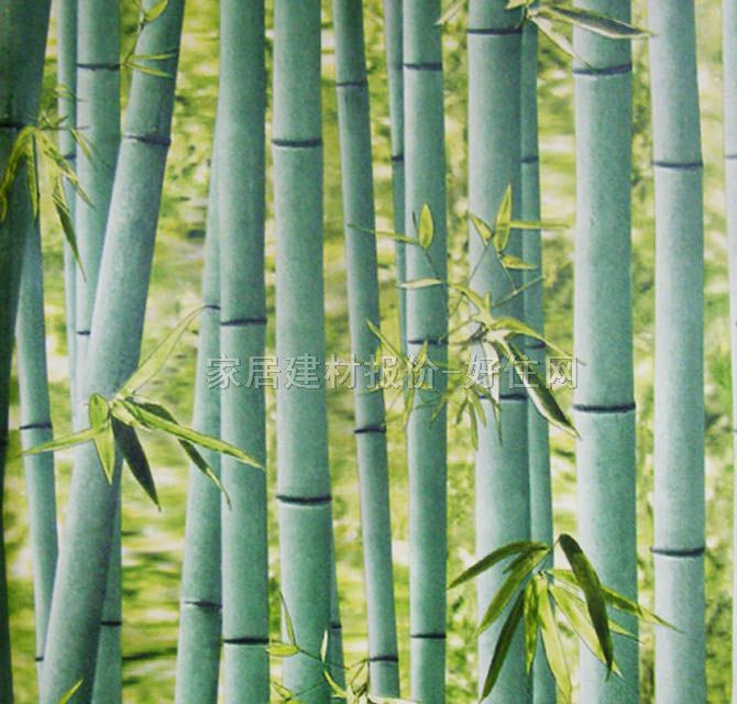 Ψ������ ��@�L��Gɫ���� 0.53��10.05M ��y �Gɫ