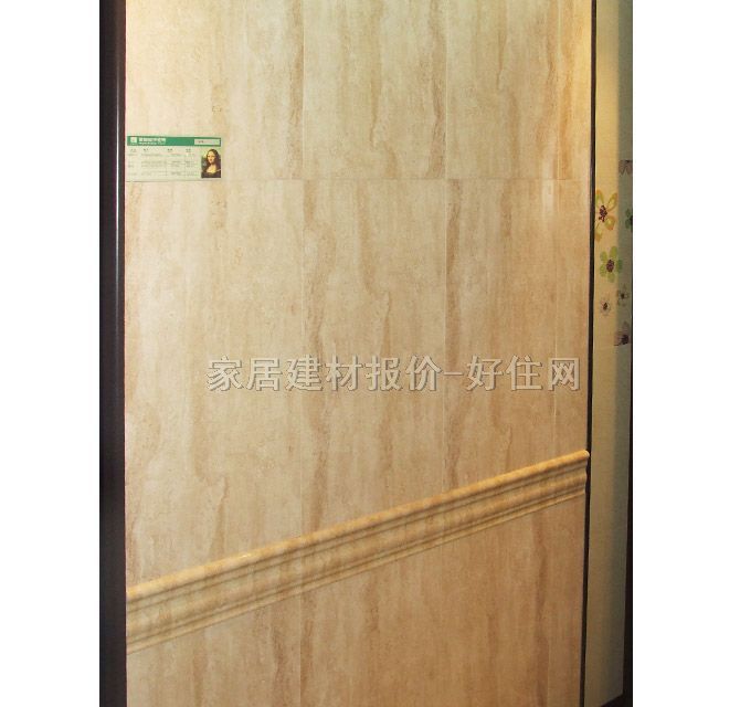 ������ɯ��Ƭ �ŵ�y\�SɫYTSDJ1031M 300mm��50mm