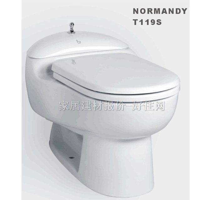 �B�w�RͰ���� T119S 500mm��510mm����760mm