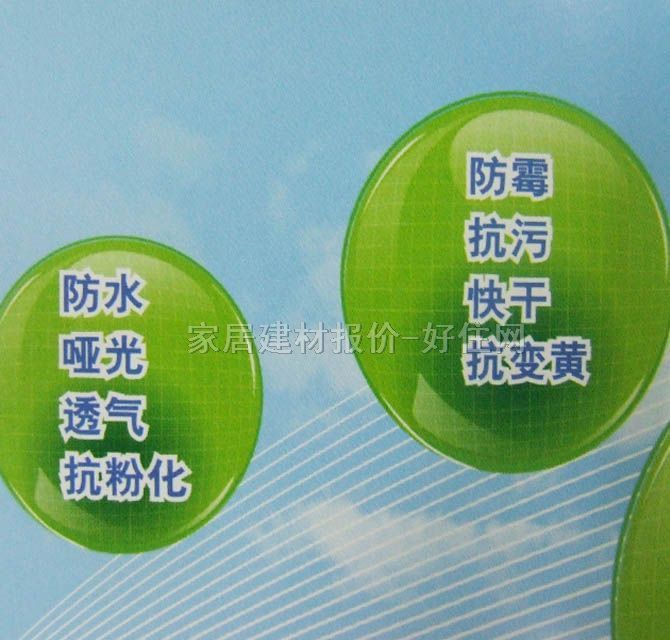 ����ʿ�ȉ����z�� ��̿���¾�ȫЧ������A896-65000 5L ��ɫ