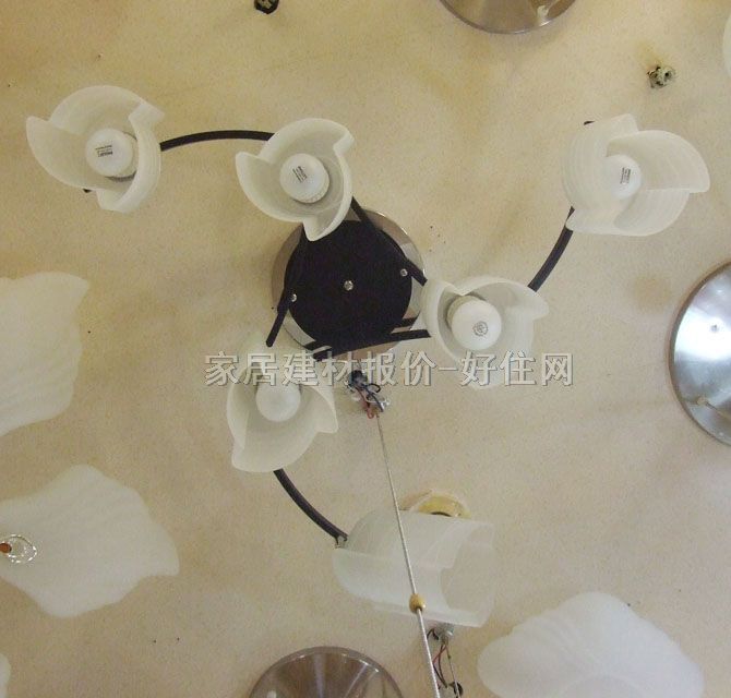 ��־���� 8196/6 ���ٟ���+ĥɰ�������� �F�������L�� ��ɫ