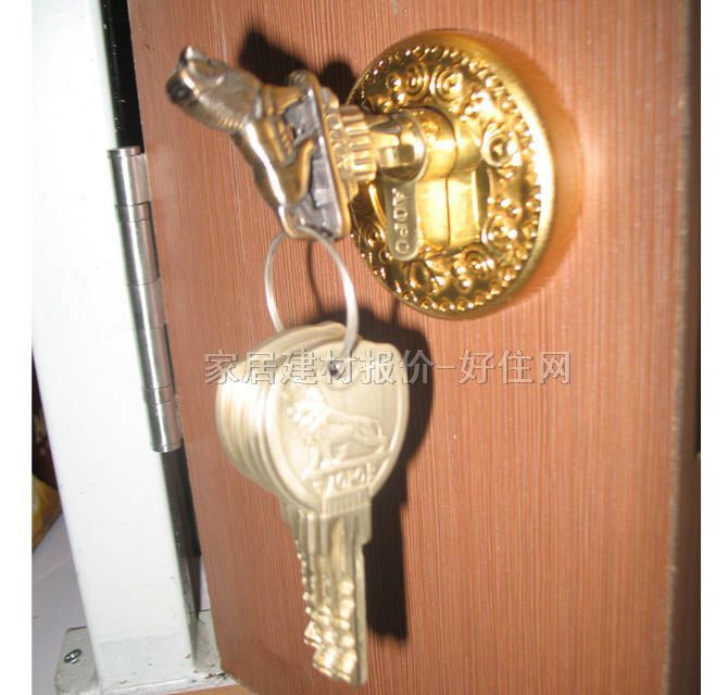 �W��ľ�T�i  DS928 SG/GP 45mm-55mm �S���~ �����i �S���~ɫ