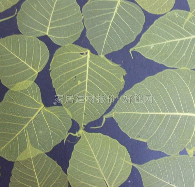 �W�ŉ��� �����L�����¾Gɫ���~ 0.915m �~�y �Gɫ