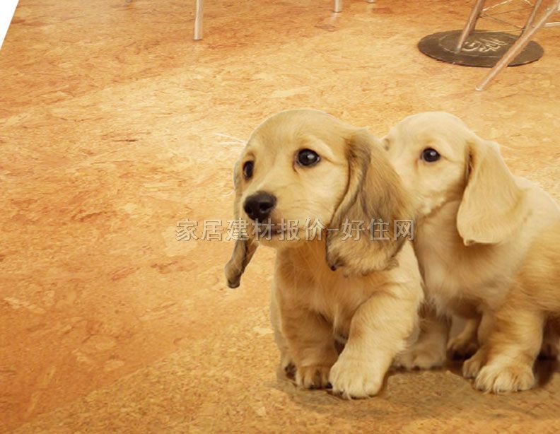 ܛľ�ذ� ճ�NʽKN-101 305��610��6mm