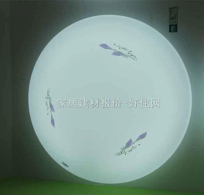 ��픟� �P����픟�1009 �A�� �F�������L�� �׵׎��D��������