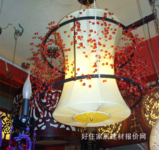 ����  SSL21437 ���ٟ���+���������� �F�������L�� ��ɫ