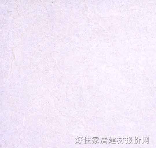 �شu ����uSLJ675 800mm��800mm