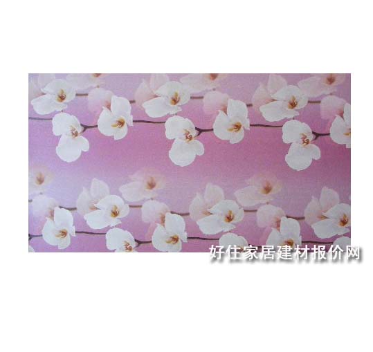���� XINGYUNLONG04 1.56��10.6M PVC �� ��ɫ