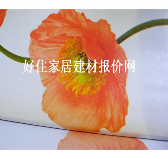 ���� SHANGSE02 1.66��10M �� ��ɫ