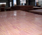 ������ͨ�z�ϰ�  2440mm��1220mm����12mm 