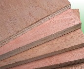 ��¡����ͨ�z�ϰ�  2440mm��1220mm����5mm 