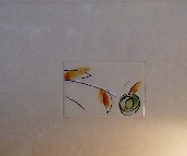 �_���؉��u��Ƭ SQ43459PH 300��450mm 