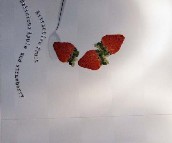 �_���؉��u��Ƭ SQA43529H 300��450mm 