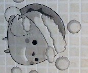 �_���؉��u��Ƭ SQY43555H3 300��450mm 