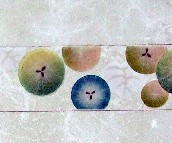 �Ԗ|��Ƭ �;�ˮ��6-30DJ7601CQ 60mm��300mm 