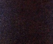 �_���صشu �¹ŴuSFA30307P Ƥ�� 298mm��298mm 