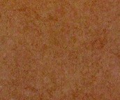 �_���صشu �¹ŴuSFC30103P ���ʯ 298mm��298mm 