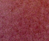 �_���صشu �¹ŴuSFC30125P ���ʯ 298mm��298mm 