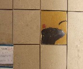 ���ƺ�ʢ�شu �¹ŴuDJ105013 ����ɫ�� 150mm��150mm 