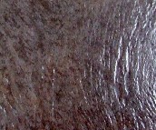 �m�𷼵شu �����uD8309 330mm��330mm 