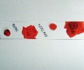 ��W����Ƭ ����JKY7801H 60mm��300mm 