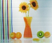 ��W�ŉ��u��Ƭ JKY4809W 300��450mm 