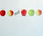 ��W����Ƭ �;�ˮ��JKY4801H 60mm��450mm 