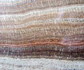  ���A ����ʯ ���ϴ����ľ�SFY-07 ��20mm 