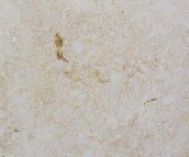  ���A ����ʯ ���ϴ�����x��FY-14 ��20mm 