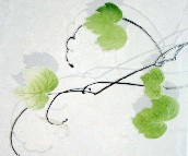 �W�҉��u��Ƭ APPX90053-1A 300��450mm 