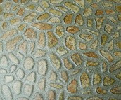 ��혵شu �����uBAC01 300mm��300mm 