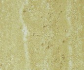 ��퍉���u ����uůɫ�y��D��63507 300mm��600mm 