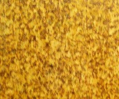 ���������_��ʯ�� ���Ҽt�����r ӆ�� 