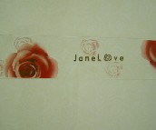 ��������Ƭ ����PY2 60mm��300mm 