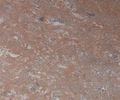 ����˹����u ����uůɫ�y��D��8008 800mm��800mm 