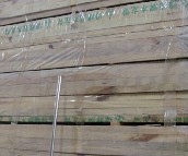 �G��ľ�� ��ͨ�ⷽ 30mm��50mm���L2000mm 