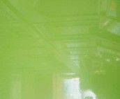 �\��N���T�� �ݾGɫ ����� 