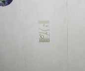 ��퍉��u��Ƭ G6670A1 300��600mm 