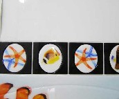 ���f����Ƭ ����HQA4500PD13 70mm��450mm 