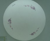 ������픟� �P����픟����Π�LN-*822/ �A�� 