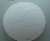 �w������픟� �P����픟��w���{ �A�� 