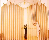 �\�оӴ����Q����غ� ��ɫ�йⲼ AB020-3 ӆ�� 