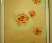 �S���¹������T �������T01 ӆ�� 