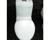 �����B�w�RͰ���� T1054 δ֪ 