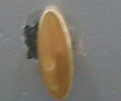 S.T.K���T������� �Sɫ 121-32-001 �Ͻ�