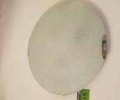 �ư�����픟� �P����픟�8812/3 �A�� 