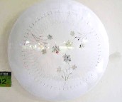 �ư�����픟� �P����픟�12 �A�� 