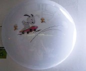 �ư�����픟� �P����픟�19 �A�� 